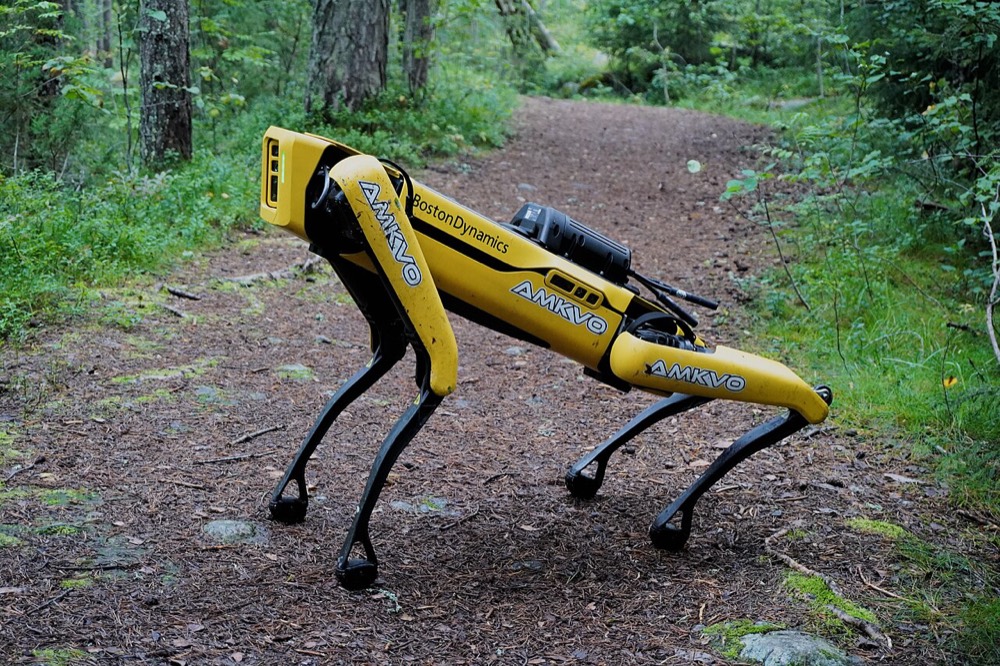 Boston Dynamics の四足歩行ロボット Spot が森の小道を歩く様子