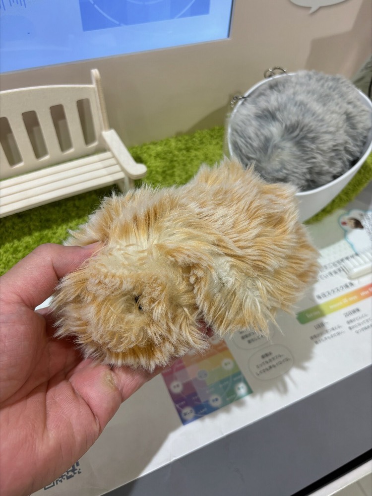 カシオの AI ペットロボット Moflin を手に載せた様子